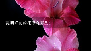 昆明鲜花的花形有哪些?