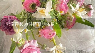 云南鲜花如何储存和运输?