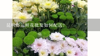 昆明好运鲜花批发如何配送?