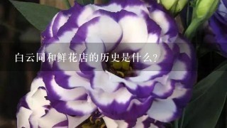 白云同和鲜花店的历史是什么?