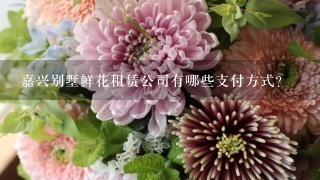 嘉兴别墅鲜花租赁公司有哪些支付方式?