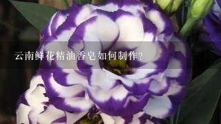 云南鲜花精油香皂如何制作?